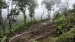 Hujan Deras Sebabkan Tanah Longsor di Kabupaten Sukabumi