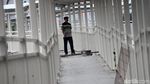 Hampir Jadi! Begini Penampakan Terbaru Skybridge Tanah Abang
