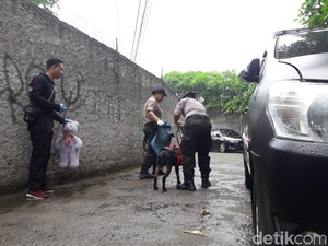 Pembunuhan Sadis di Bekasi, Anjing Pelacak Cium Boneka-Susuri Jalan