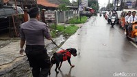 Anjing pelacak dikerahkan untuk mengungkap kejadian ini