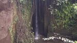 Foto: Air Terjun & Bunga Bangkai Unik di Bali