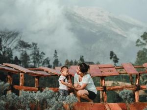 Taman Edelweiss, Destinasi Baru Instagramable di Bali