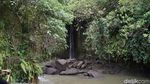 Foto: Air Terjun & Bunga Bangkai Unik di Bali
