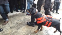 Anjing pelacak mengendus sejumlah titik di sekitar lokasi