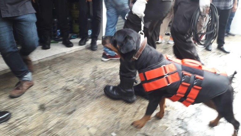 Anjing Pelacak Dikerahkan ke TKP Pembunuhan Sekeluarga di Bekasi Anjing Pelacak Dikerahkan ke TKP Pembunuhan Sekeluarga di Bekasi