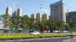 Foto: Nanning, Si Hijau Cantik dari China