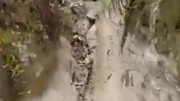 Seko berada di perbatasan antara provinsi Sulawesi Barat, Sulawesi Selatan dan Sulawesi Tengah. Lokasi ini berjarak kurang lebih 100 km dari Ibu Kota Kabupaten Luwu Utara, Masamba. 