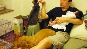 Ayah, putri dan kucingnya ini rutin bertofo sama setiap beberapa tahun. Foto: boredpanda