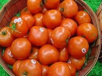 Hati-Hati! 6 Bahan Makanan Ini Mengandung Racun yang Bisa Mematikan