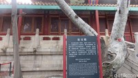 Warna utama Forbidden City adalah kuning dan merah. Tembok-tembok, pilar, pintu dan jendela-jendela sebagian besar dicat merah, yang dianggap sebagai simbol keberuntungan dan kebahagiaan dalam budaya China. (Rita/detikTravel)