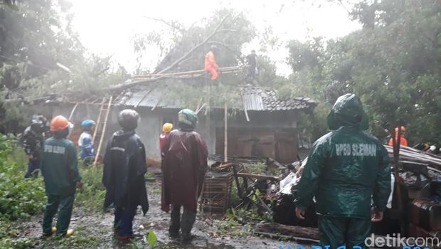 Hujan Deras di Sleman, Pohon Tumbang Timpa Rumah dan Travo