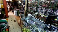 Tidak cuma hanya pusat perbelanjaan yang semakin hari semakin sepi, Pasar Taman Puring, Jakarta Selatan pun kini sepi dari pengunjung.