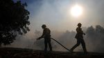 Petugas Damkar Terus Berjibaku Padamkan Api di California