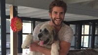 Namun Liam dan Miley bersyukur karena hewan peliharaan mereka berhasil diselamatkan dari musibah tersebut. Dok. Instagram/liamhemsworth