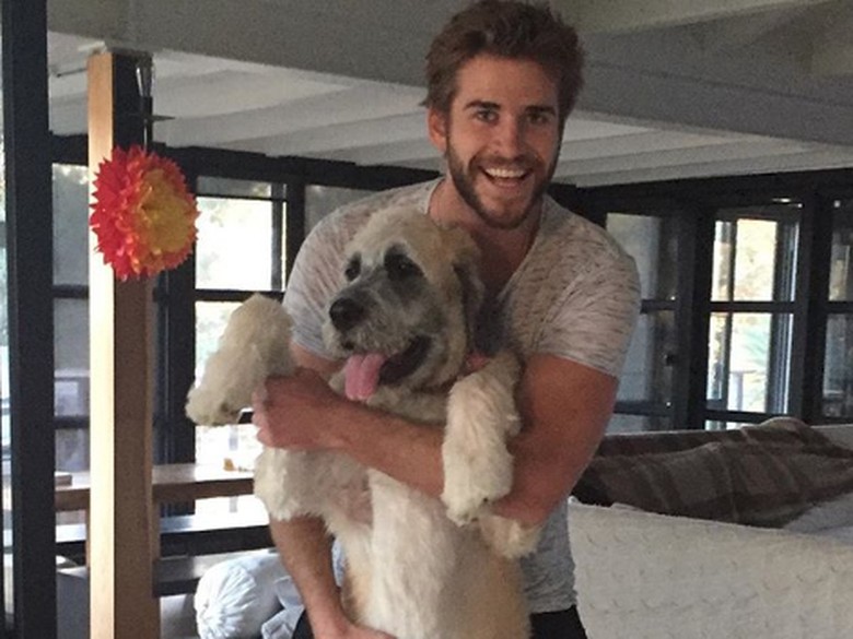 Liam Hemsworth mulai buka hati. Foto: Dok. Instagram/liamhemsworth Liam Hemsworth mulai buka hati. Foto: Dok. Instagram/liamhemsworth