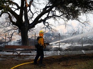 42 Orang Tewas, Petugas Berjibaku Padamkan Kebakaran di California