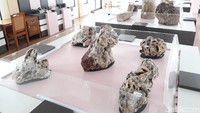 Ada sekitar 20 jenis batu di Etalase Taman Batu, dengan jumlah total mencapai ratusan (Pradito Rida Pertana/detikTravel)