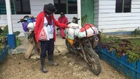Saya tahun 2014 menyewa ojek ke Rampik. Harga menyewa ojek untuk sampai ke puskesmas saya senilai Rp 1 juta sampai Rp 1,5 juta. Sekarang karena ada pelebaran jalan, sedikit turun, Rp 500 ribu, ungkapnya.