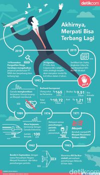 Merpati akhirnya bisa terbang lagi