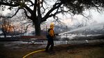 Petugas Damkar Terus Berjibaku Padamkan Api di California