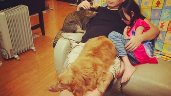 Dan semakin besar. Foto: boredpanda