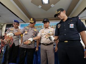 Penyelundupan 2.607 Ekor Kepiting Bakau ke Malaysia Digagalkan