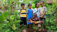 Sedikitnya ditemukan 5 buah bunga dengan nama latin Amorphophallus itu di pekarangan dan kebun warga.