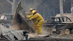 Petugas Damkar Terus Berjibaku Padamkan Api di California