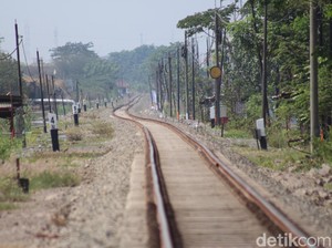 BUMN Mau Bangun Rel Kereta dan Tambang Emas di Afrika