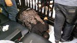Merpati Bisa Terbang Lagi, Eks Karyawan Sujud Syukur