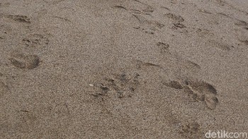 (Foto: detikINET/Josina)