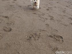 Menjajal Kamera Xiaomi Pocophone F1 di Pulau Dewata