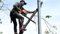 Selain itu pemangkasan ini juga untuk penerangan lampu jalan yang tertutup pohon rindang.