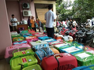 Kucing-kucing Jakarta Dikebiri atas Kerelaan Pemilik