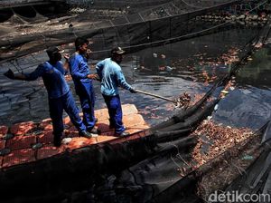 Potret Pembongkaran Waring Topeng Kali Item