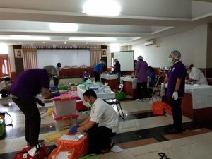 Ratusan Kucing di Jakarta Dikebiri untuk Cegah Rabies, Anjing Kapan?
