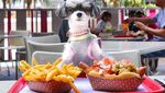 Gemas! Pose Tinkerbelle, Selebgram Anjing Imut yang Hobi Makan dan Ngemil