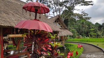 Pada kondisi terang, foto yang dihasilkan cukup memukau, detail yang tinggi, tajam dan nyaris tanpa noise. (Foto: detikINET/Josina)