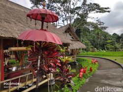 Menjajal Kamera Xiaomi Pocophone F1 di Pulau Dewata