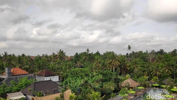 Pemandangan alam di kawasan Ubud, Bali di pagi hari. Pocophone F1 memiliki dua kamera belakang, dengan resolusi 12 dan 5 megapixel. (Foto: detikINET/Josina)