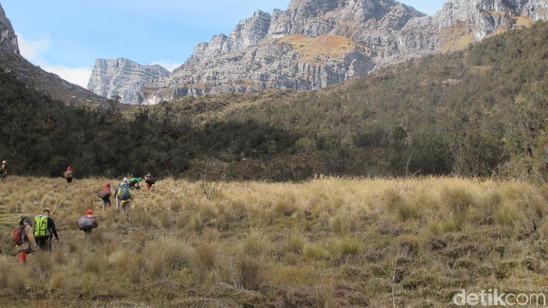 Trek pendakian ke Puncak Carstensz yang masuk dalam kawasan Taman Nasional Lorentz (Afif Farhan/detikcom) Trek pendakian ke Puncak Carstensz yang masuk dalam kawasan Taman Nasional Lorentz (Afif Farhan/detikcom)