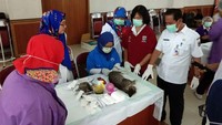 Salah satu untuk mempertahankan Jakarta bebas rabies itu ya salah satunya ini,” kata Kepala Seksi Perternakan Sudin KPKP Irma Budiarti kepada detikcom, Kamis (14/11/2018).