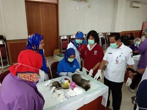 132 Kucing Jantan di Jaktim Dikebiri