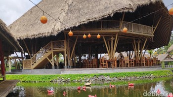 Warna-warna cerah rumah makan saung. Kamera utamanya menggunakan sensor Sony IMX363 dengan ukuran pixel 1,4 mikron dan bukaan lensa f/1.9. (Foto: detikINET/Josina)