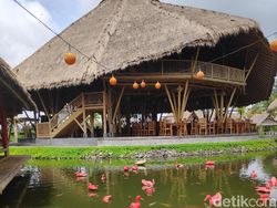 Menjajal Kamera Xiaomi Pocophone F1 di Pulau Dewata