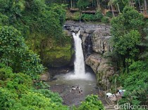 Rekomendasi Wisata Air Terjun Terdekat dari Denpasar untuk Liburan Akhir Pekan
