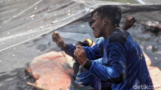 Ketika Pemerintah Pusat Turun Tangan Bersihkan Kali Item