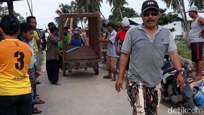 Harimau Terjebak di Kolong Ruko Sempat Keluar tapi Balik Lagi Harimau Terjebak di Kolong Ruko Sempat Keluar tapi Balik Lagi