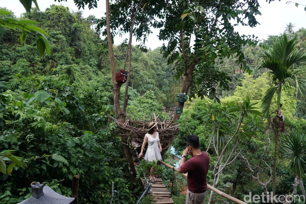 air terjun tegenungan bali