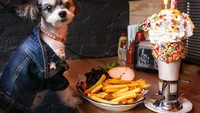 Rayakan ulang tahun, Tinkerbelle berpose dengan burger dan tumpukan kentang goreng renyah. Serta segelas milkshake dipenuhi whipped cream dan aneka permen! Foto: Instagram @tinkerbellethedog